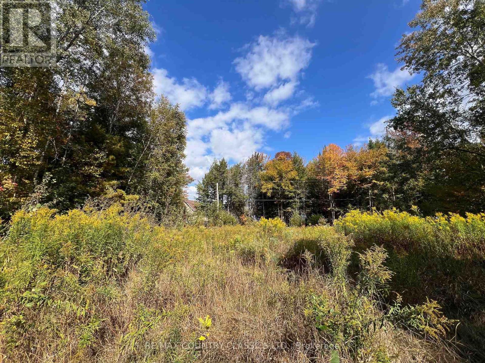 0 Forest View Road, Hastings Highlands (Herschel Ward), Ontario  K0L 1C0 - Photo 17 - X12415014