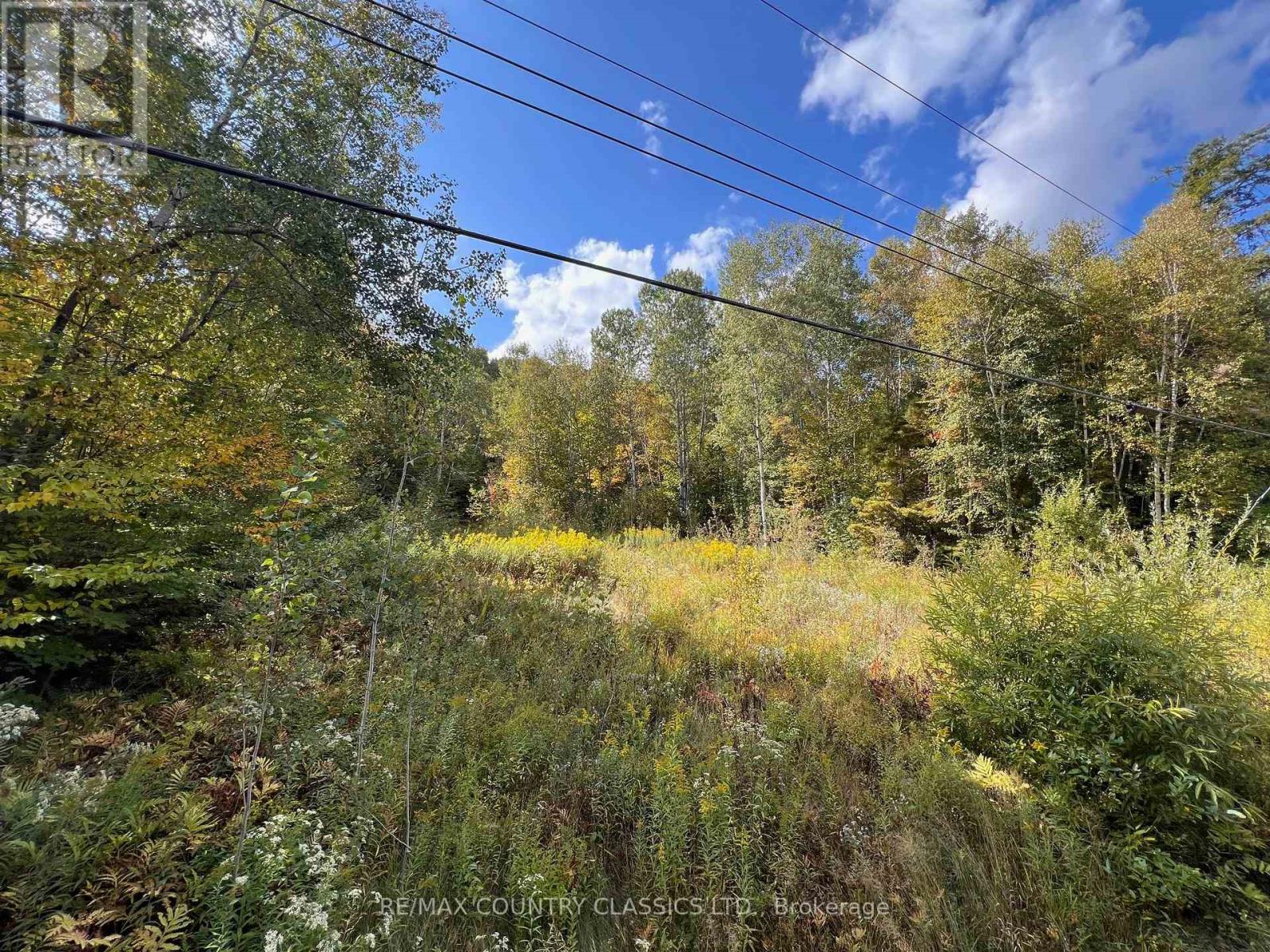 0 Forest View Road, Hastings Highlands (Herschel Ward), Ontario  K0L 1C0 - Photo 18 - X12415014