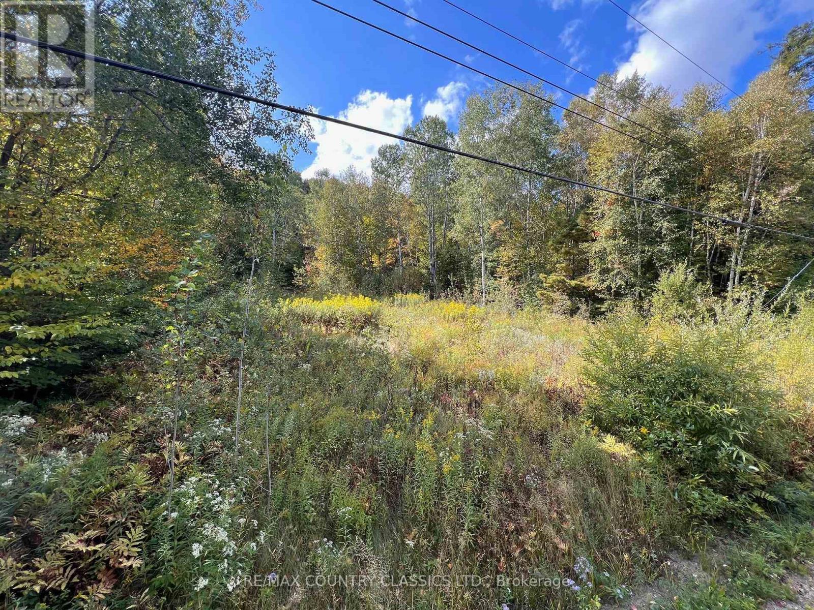 0 Forest View Road, Hastings Highlands (Herschel Ward), Ontario  K0L 1C0 - Photo 19 - X12415014