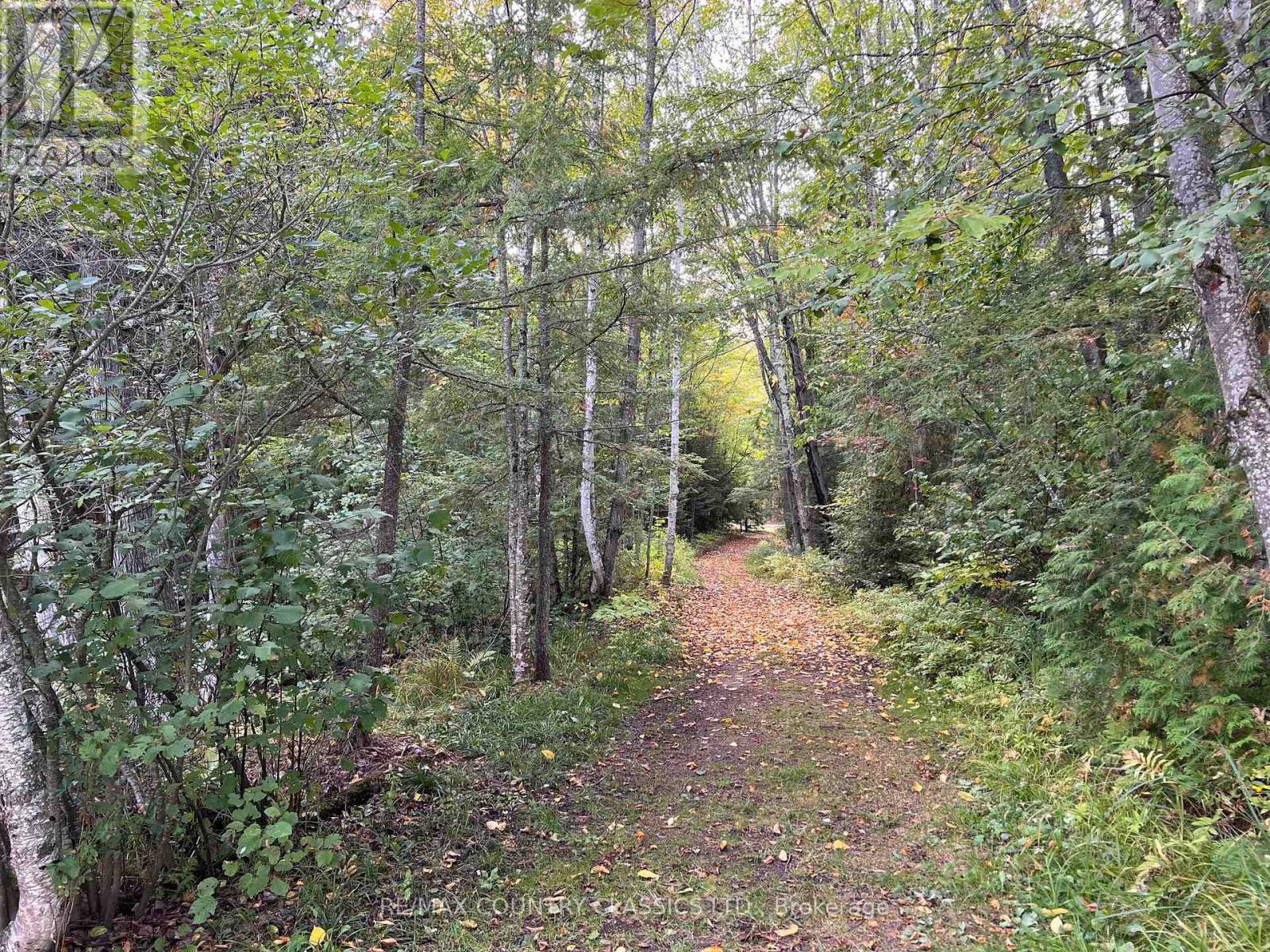 0 Forest View Road, Hastings Highlands (Herschel Ward), Ontario  K0L 1C0 - Photo 20 - X12415014