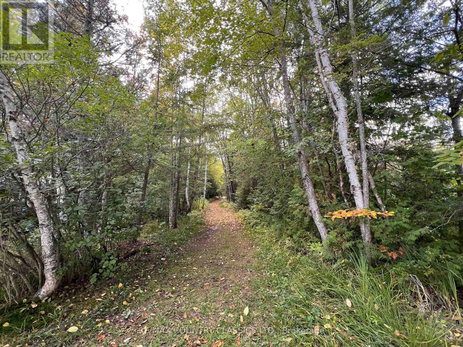 0 Forest View Road, Hastings Highlands (Herschel Ward), Ontario  K0L 1C0 - Photo 21 - X12415014