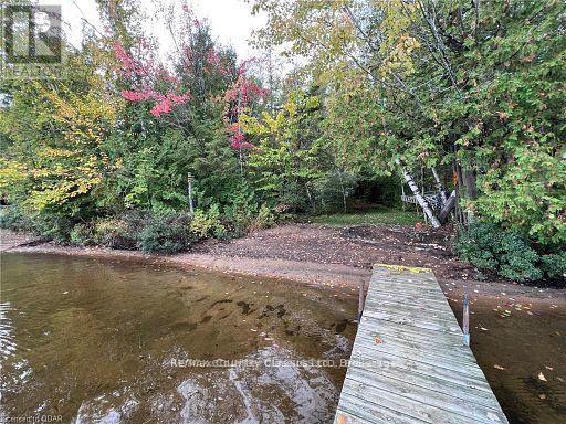 0 Forest View Road, Hastings Highlands (Herschel Ward), Ontario  K0L 1C0 - Photo 22 - X12415014