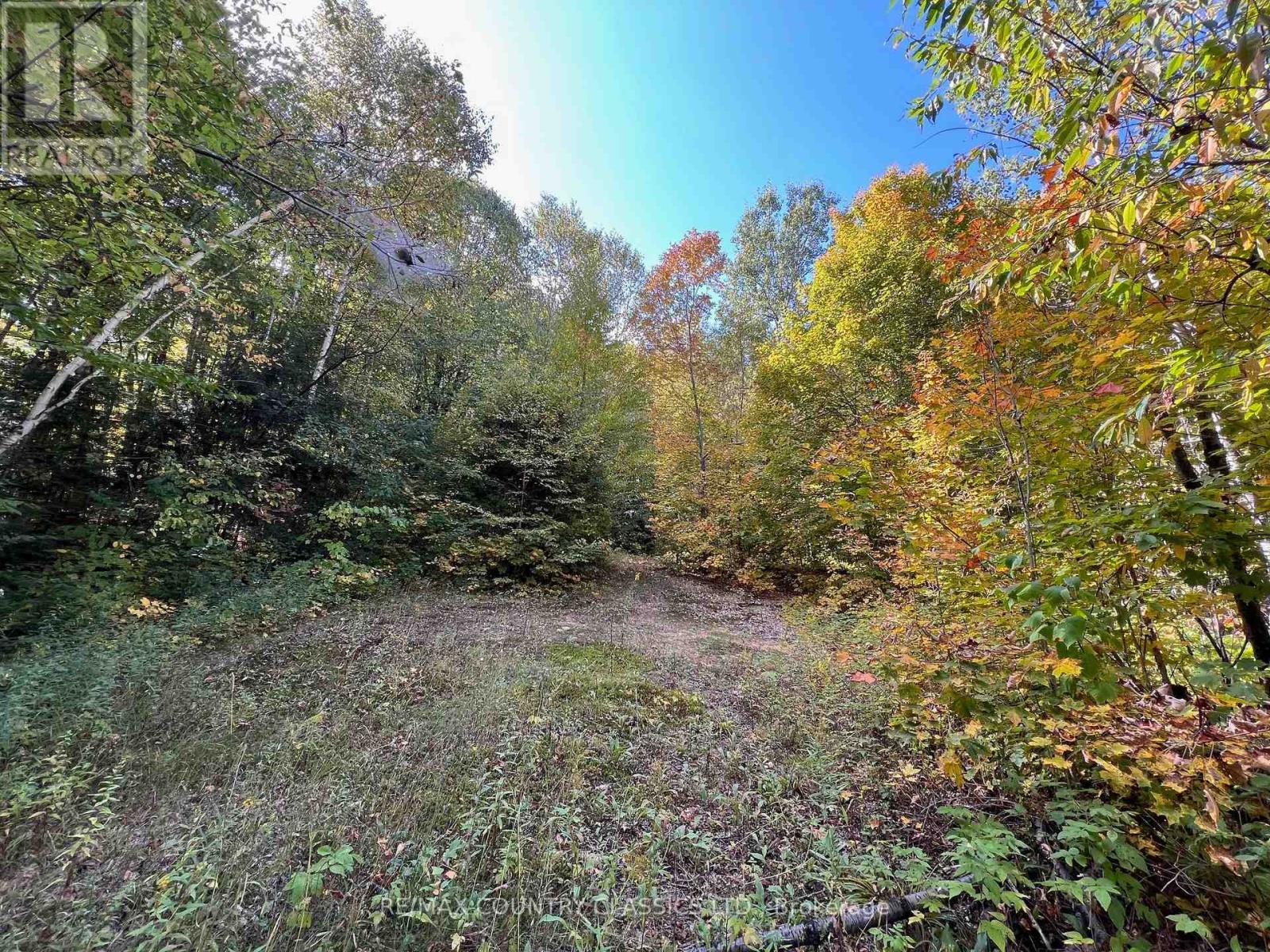 0 Forest View Road, Hastings Highlands (Herschel Ward), Ontario  K0L 1C0 - Photo 24 - X12415014