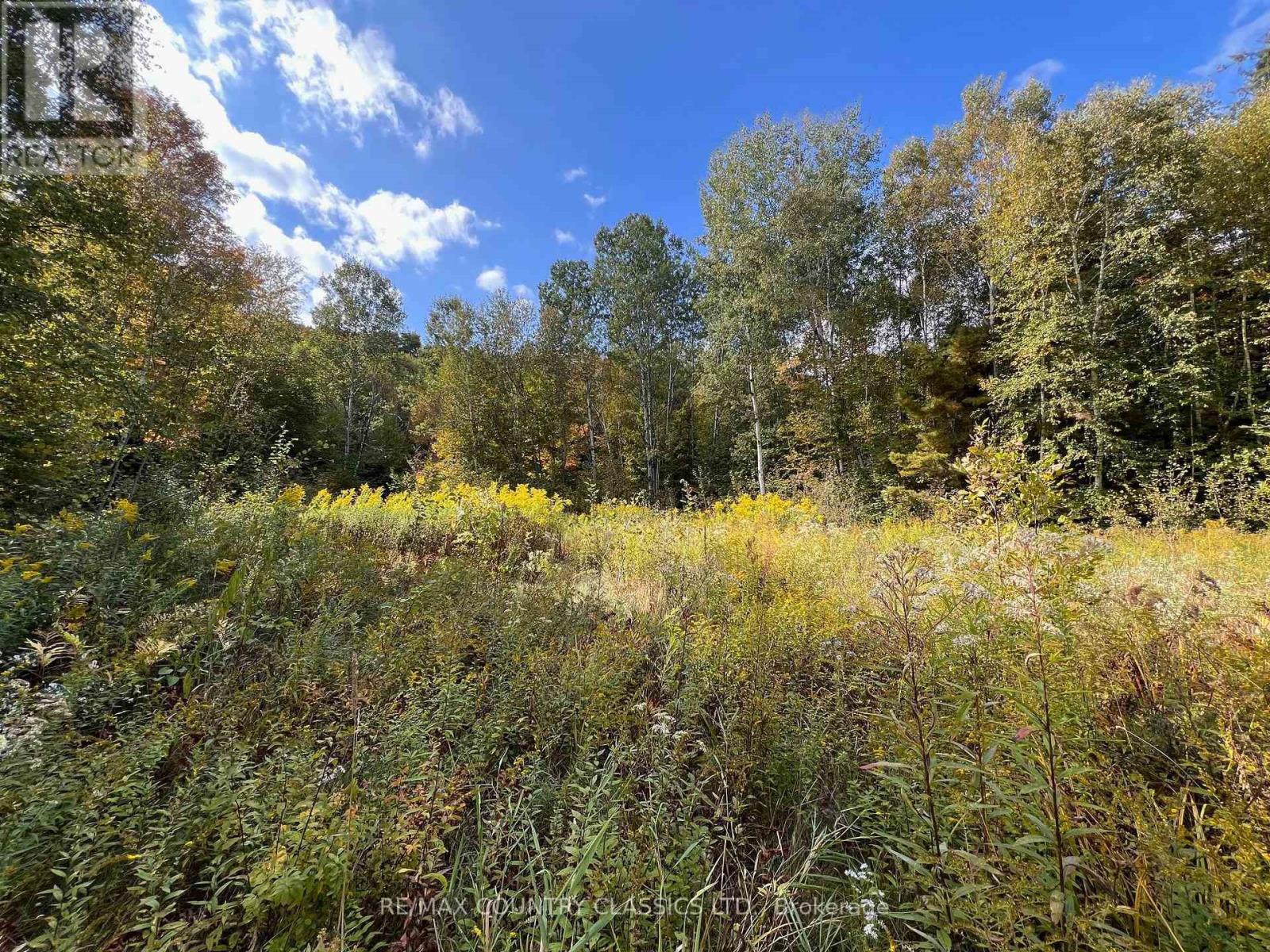 0 Forest View Road, Hastings Highlands (Herschel Ward), Ontario  K0L 1C0 - Photo 5 - X12415014