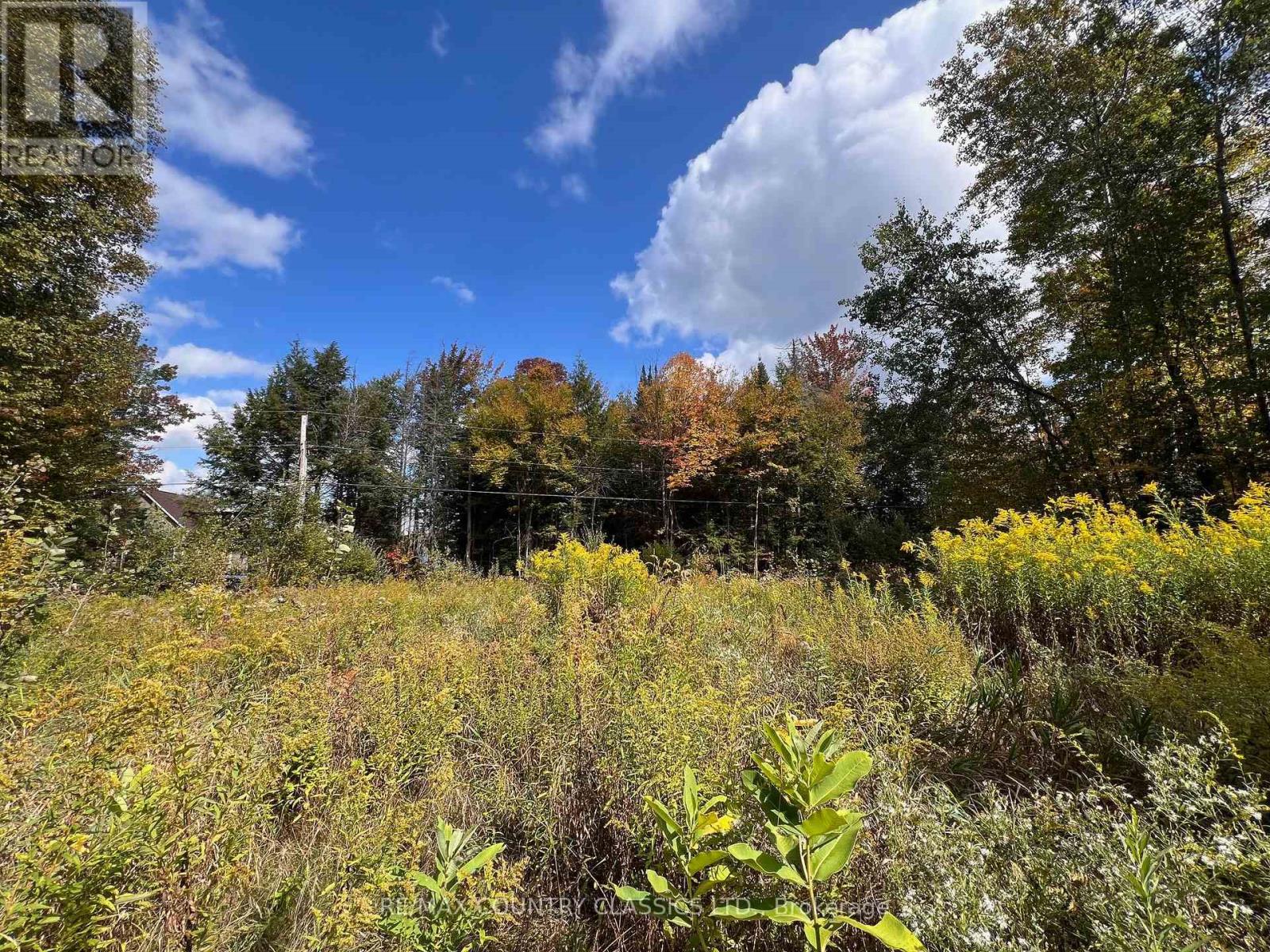0 Forest View Road, Hastings Highlands (Herschel Ward), Ontario  K0L 1C0 - Photo 8 - X12415014