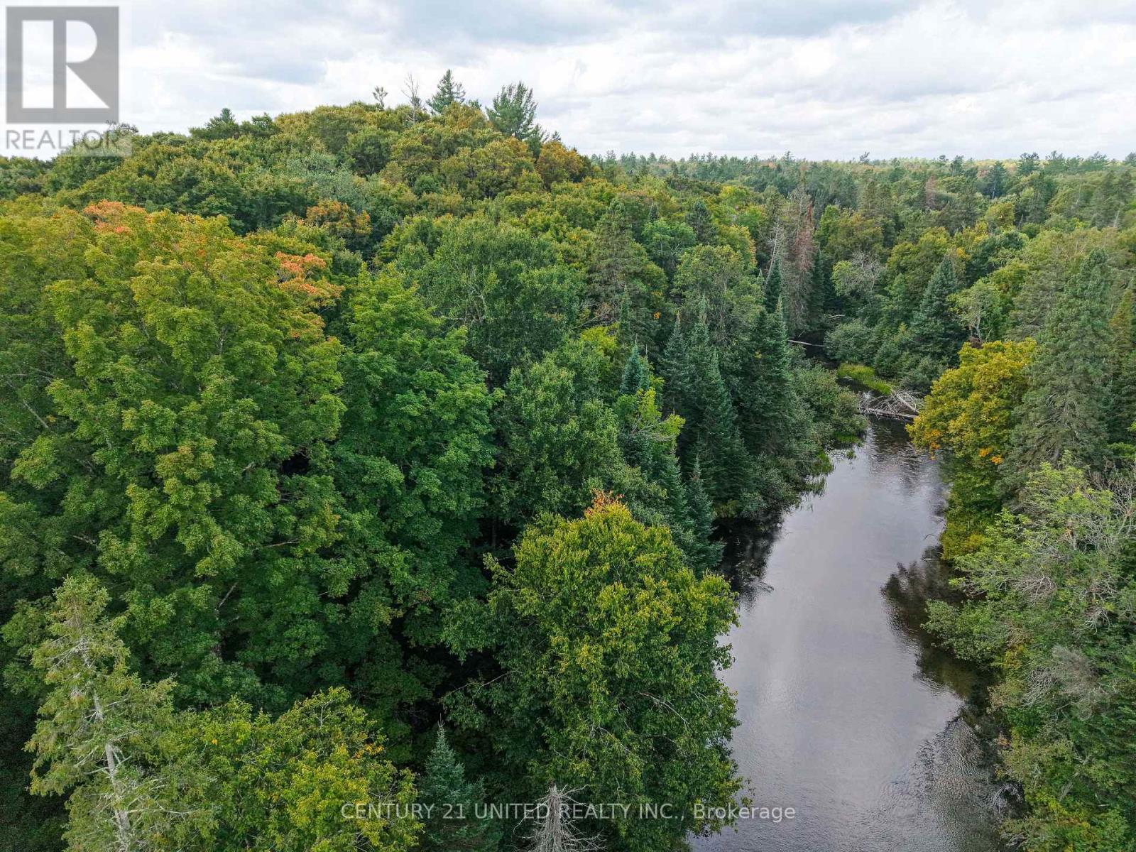 428 Jeff Road, North Kawartha, Ontario  K0L 1C0 - Photo 12 - X12415735