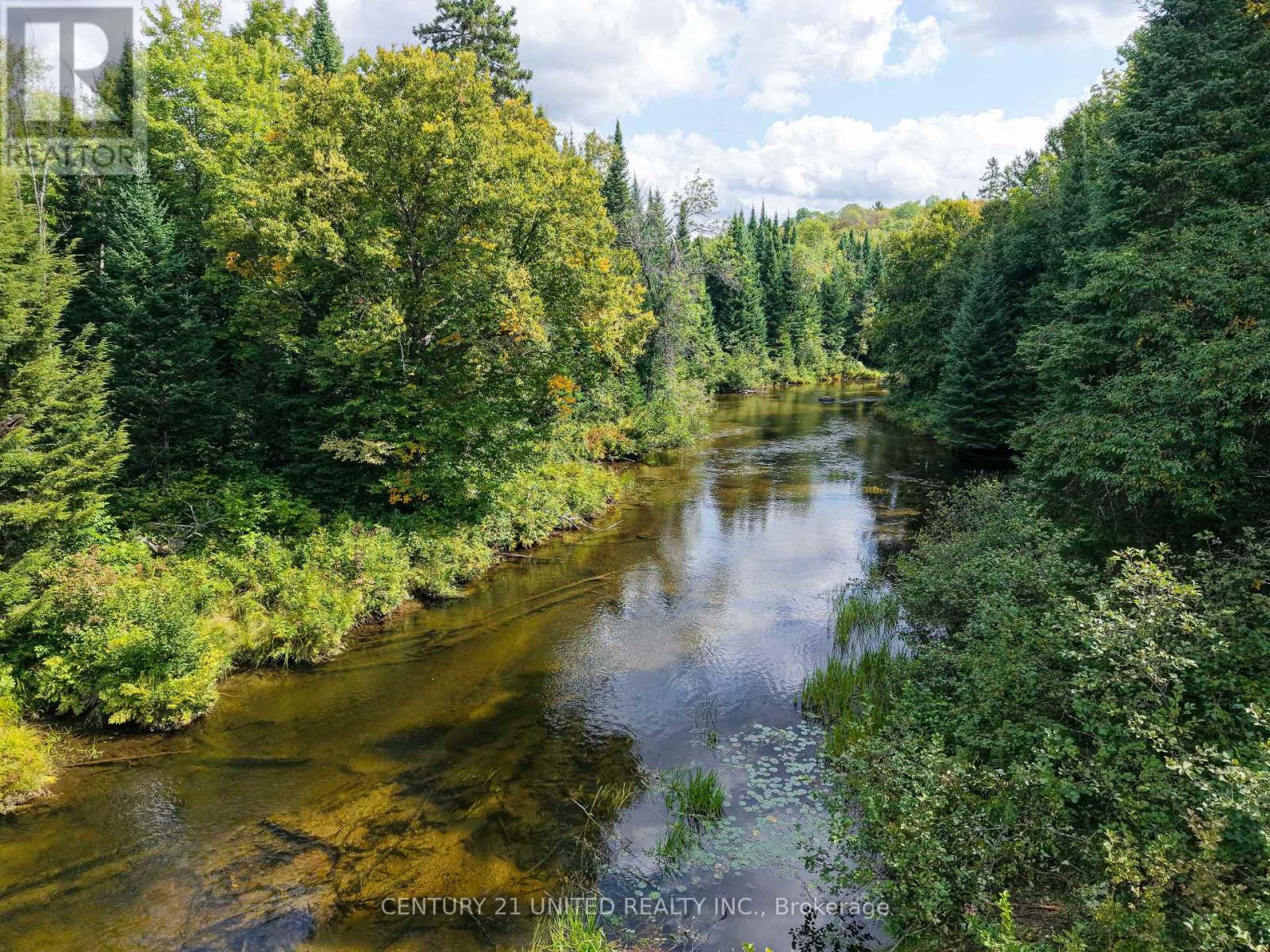 428 Jeff Road, North Kawartha, Ontario  K0L 1C0 - Photo 13 - X12415735