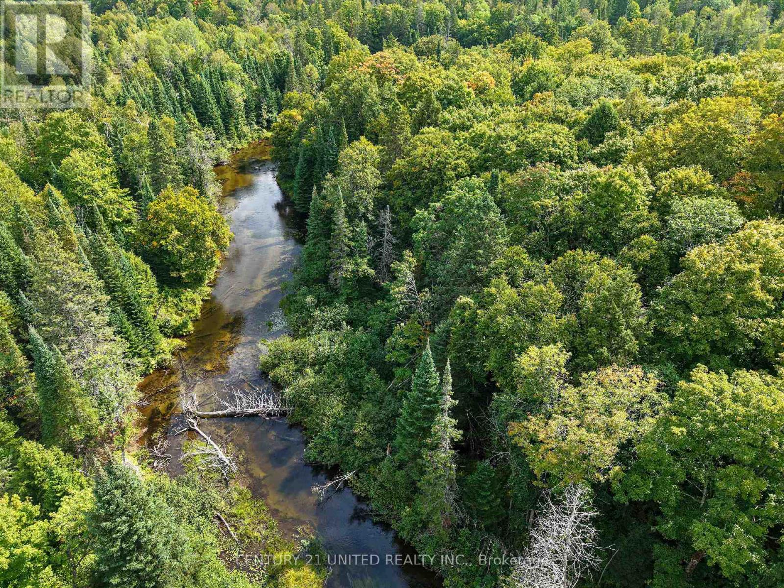 428 Jeff Road, North Kawartha, Ontario  K0L 1C0 - Photo 14 - X12415735