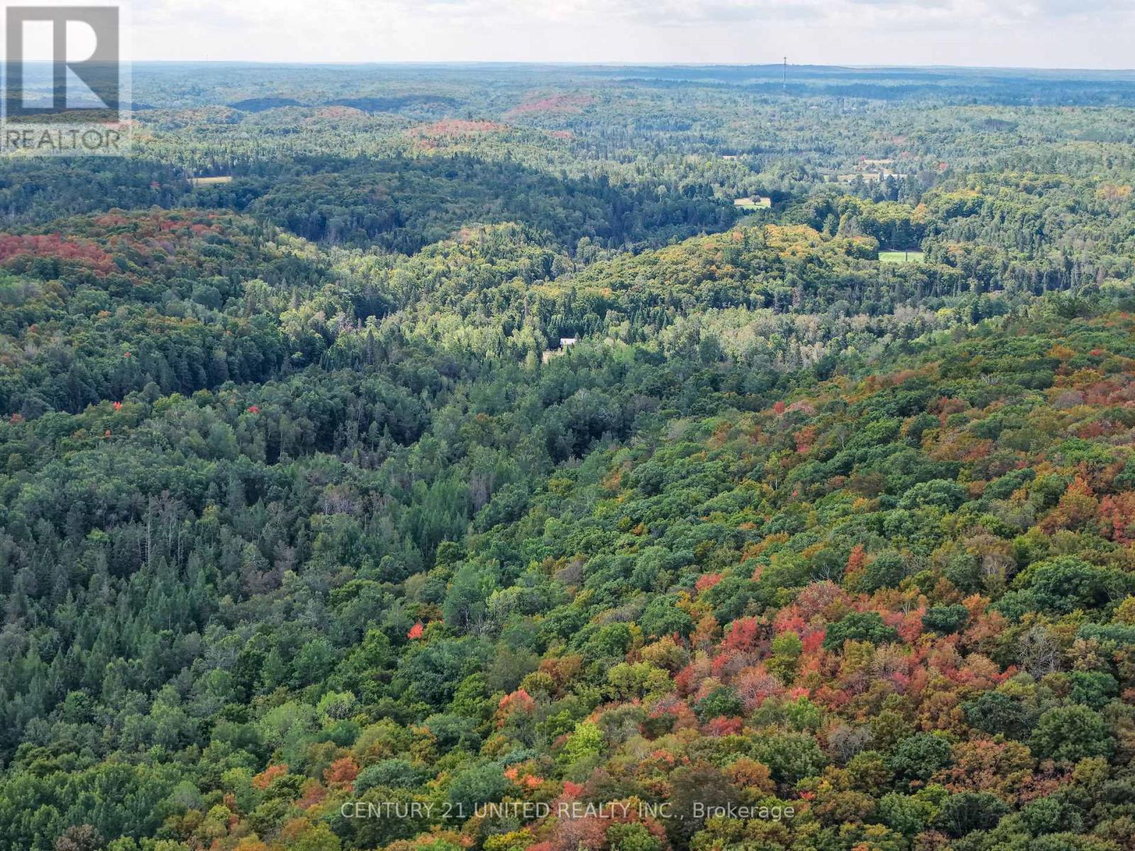 428 Jeff Road, North Kawartha, Ontario  K0L 1C0 - Photo 19 - X12415735