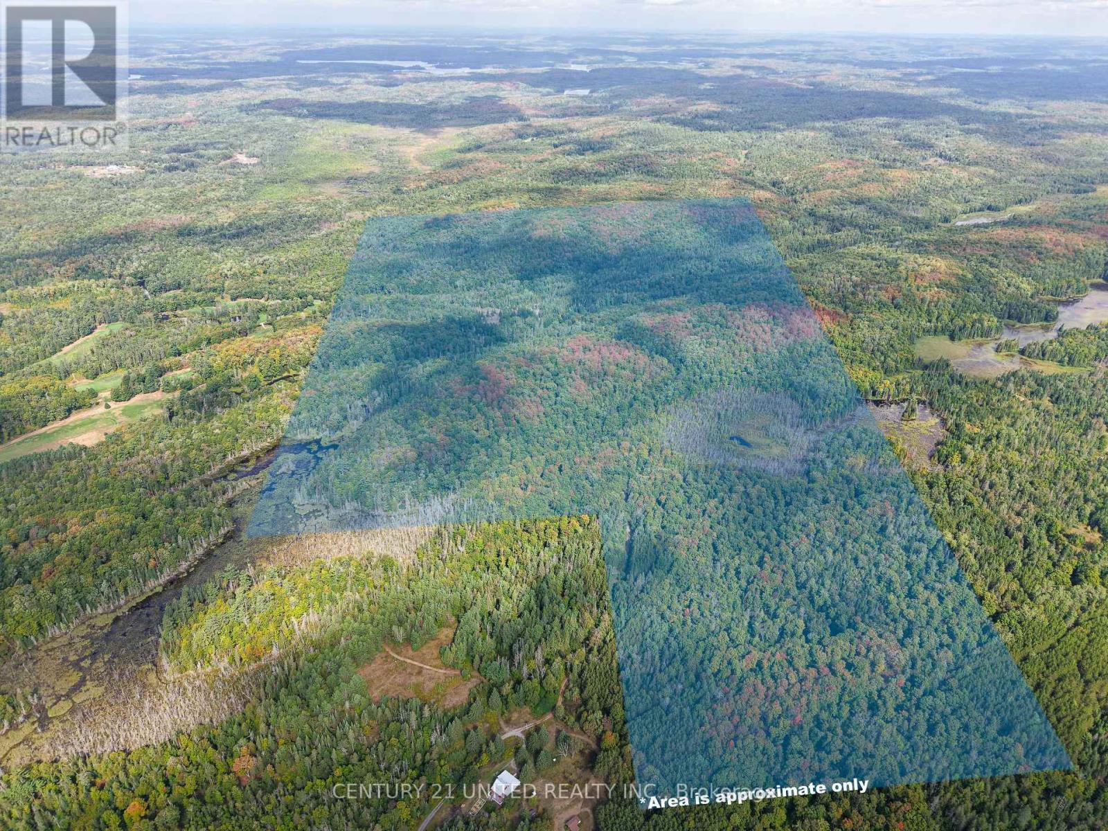 428 Jeff Road, North Kawartha, Ontario  K0L 1C0 - Photo 2 - X12415735