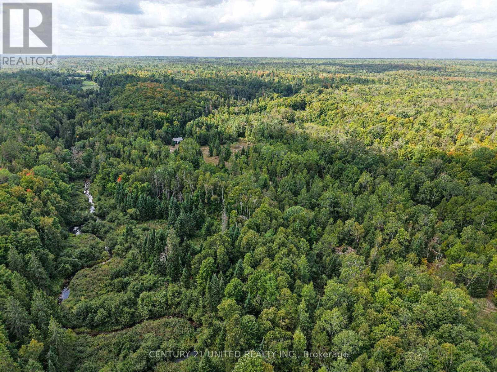 428 Jeff Road, North Kawartha, Ontario  K0L 1C0 - Photo 21 - X12415735