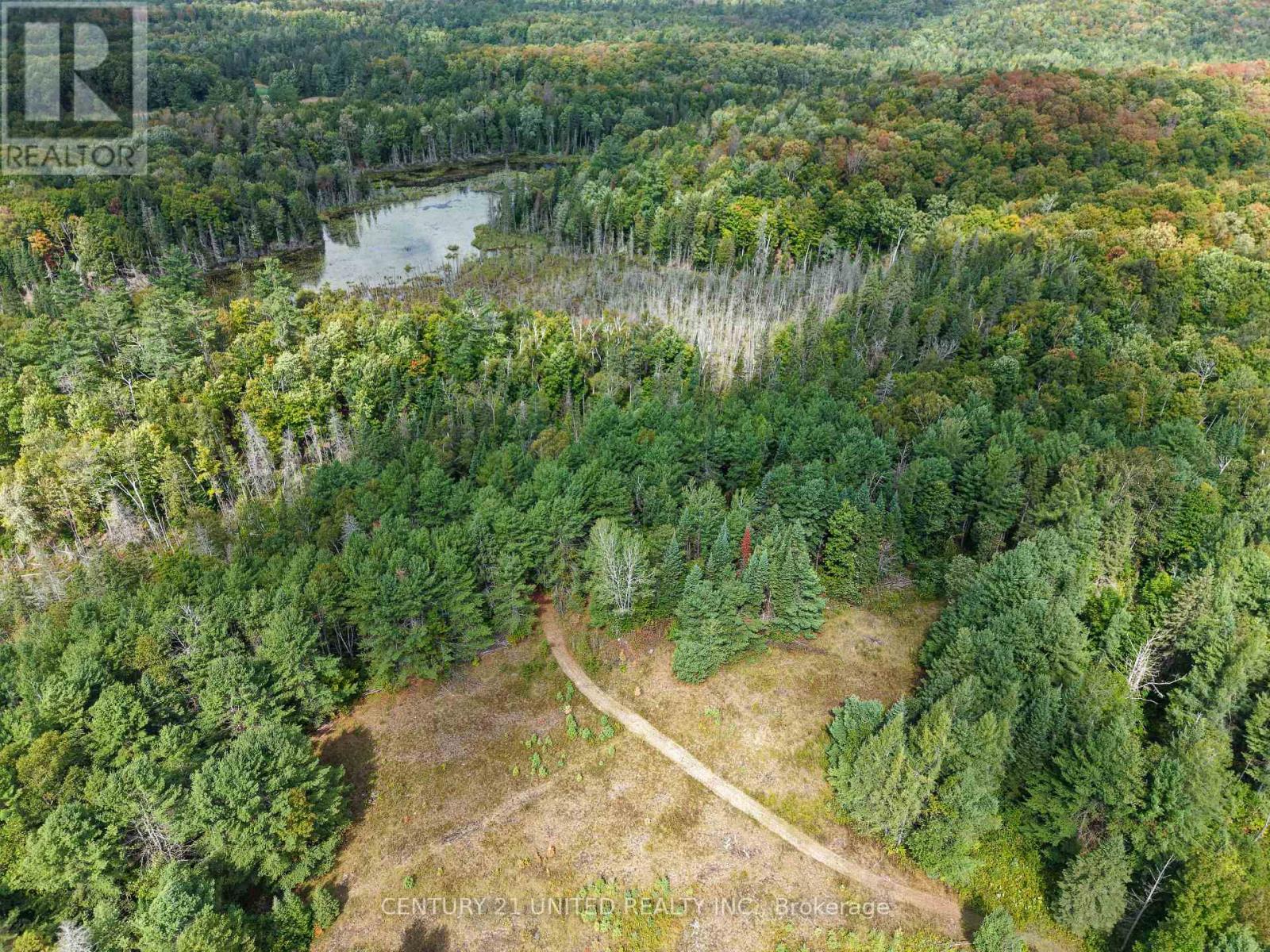 428 Jeff Road, North Kawartha, Ontario  K0L 1C0 - Photo 23 - X12415735