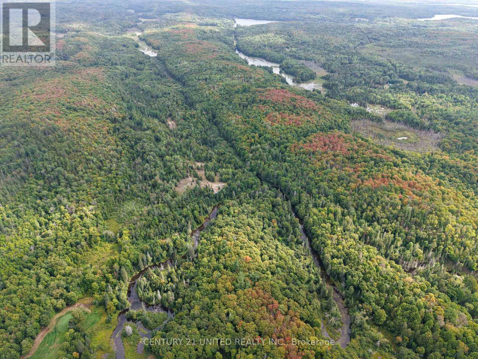 428 Jeff Road, North Kawartha, Ontario  K0L 1C0 - Photo 25 - X12415735