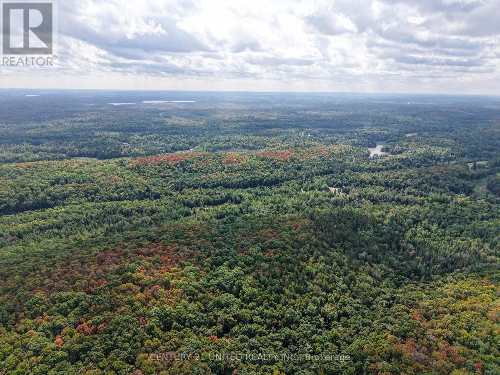 428 Jeff Road, North Kawartha, Ontario  K0L 1C0 - Photo 29 - X12415735