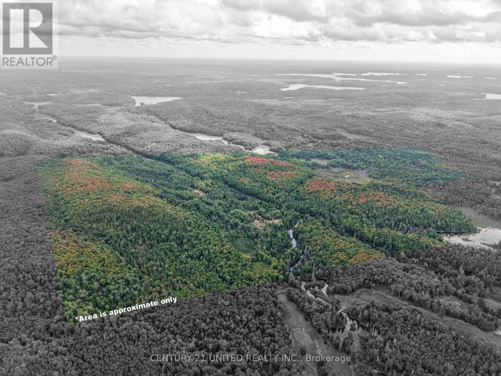 428 Jeff Road, North Kawartha, Ontario  K0L 1C0 - Photo 30 - X12415735