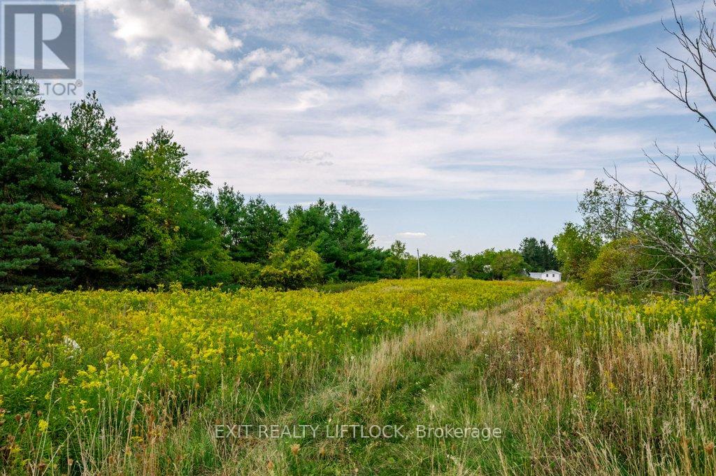 194 County Rd 10, Cavan Monaghan (Cavan Twp), Ontario  L0A 1G0 - Photo 42 - X12415738