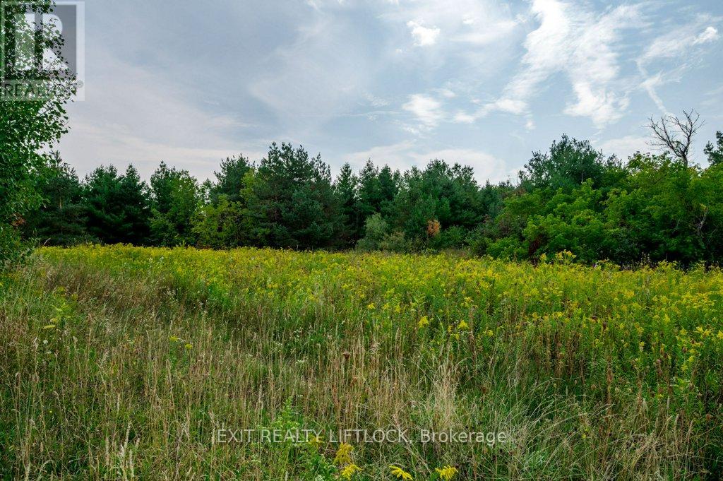 194 County Rd 10, Cavan Monaghan (Cavan Twp), Ontario  L0A 1G0 - Photo 43 - X12415738
