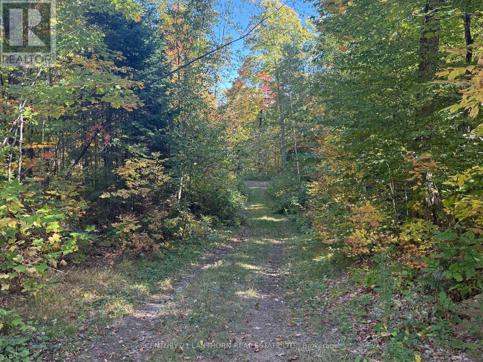 1794 St Ola Road, Tudor And Cashel (Cashel Ward), Ontario  K0L 1W0 - Photo 10 - X12416092