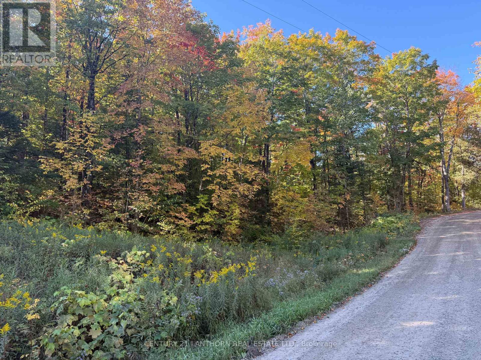 1794 St Ola Road, Tudor And Cashel (Cashel Ward), Ontario  K0L 1W0 - Photo 11 - X12416092
