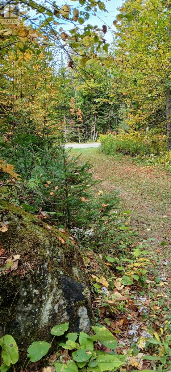 1794 St Ola Road, Tudor And Cashel (Cashel Ward), Ontario  K0L 1W0 - Photo 22 - X12416092