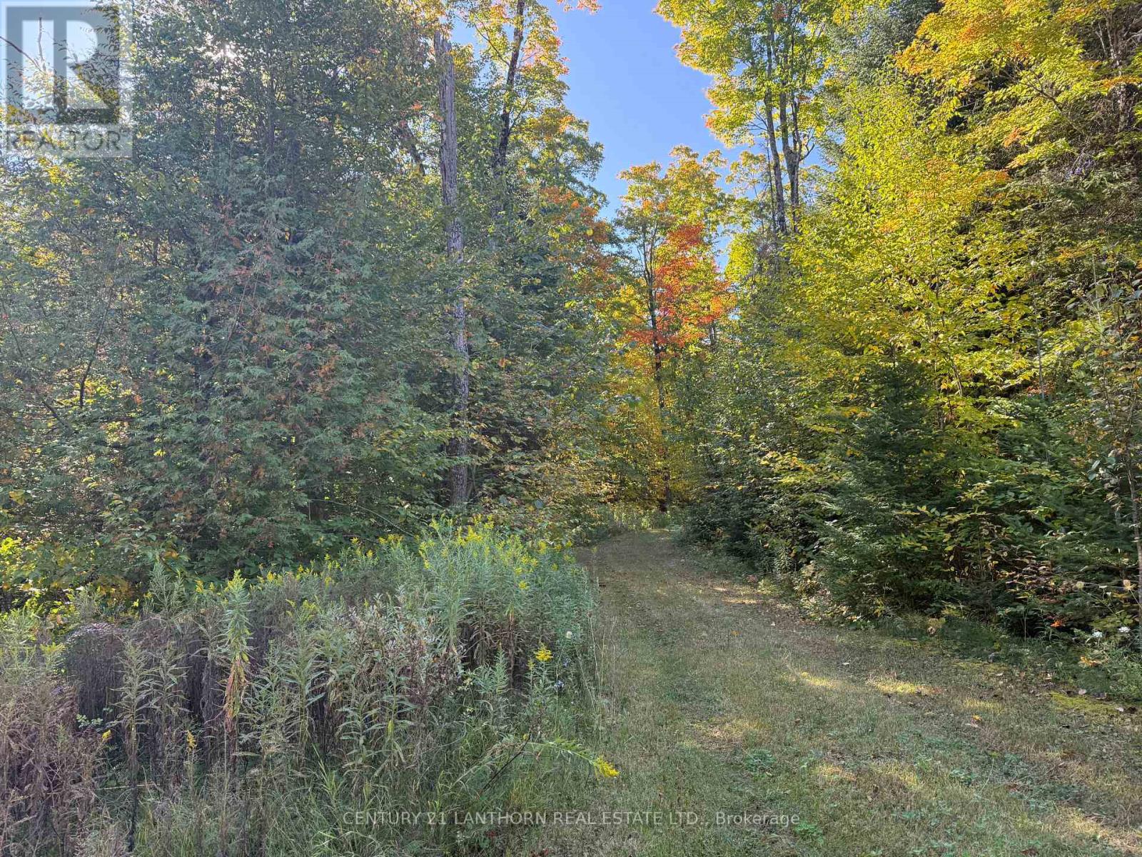 1794 St Ola Road, Tudor And Cashel (Cashel Ward), Ontario  K0L 1W0 - Photo 6 - X12416092