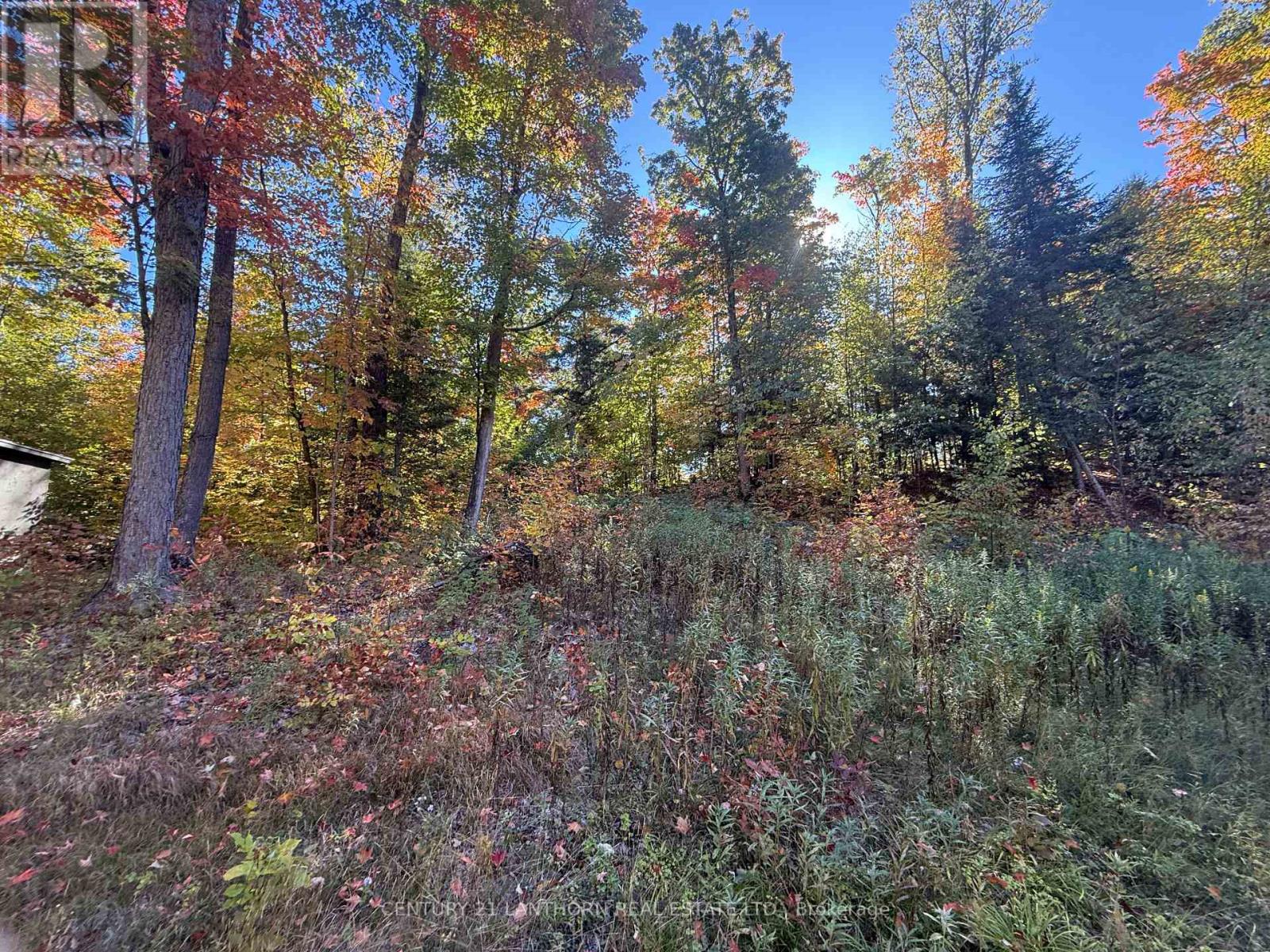 1794 St Ola Road, Tudor And Cashel (Cashel Ward), Ontario  K0L 1W0 - Photo 9 - X12416092