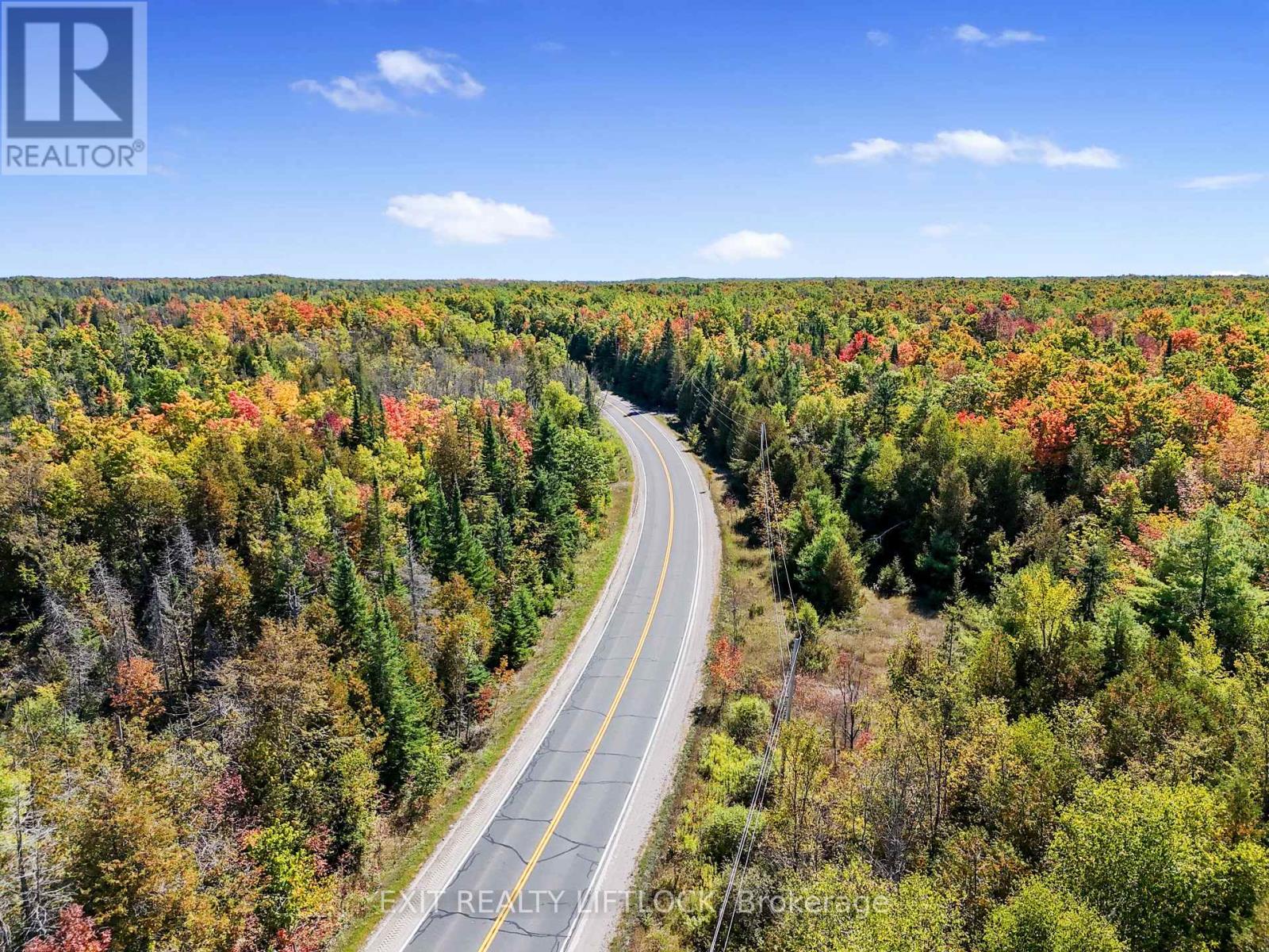 1658 County Road 40, Douro-Dummer, Ontario  K0L 2V0 - Photo 44 - X12418082