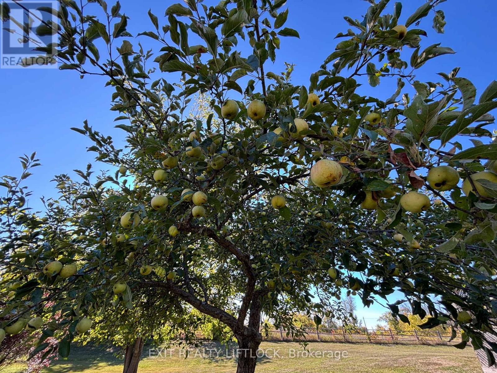 2725 Dummer Asphodel Road, Asphodel-Norwood, Ontario  K0L 2V0 - Photo 23 - X12418389