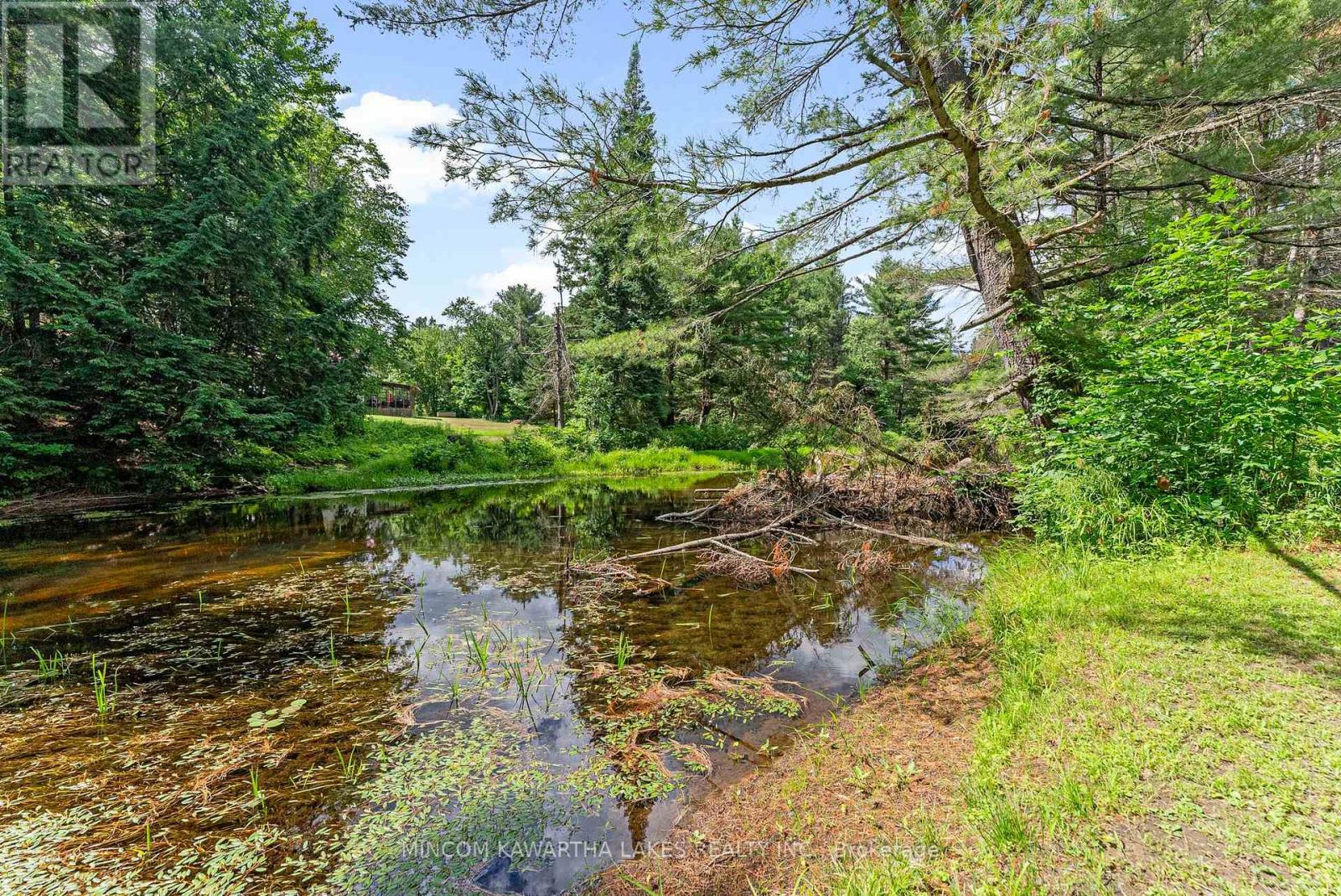 60 Burleigh Street, North Kawartha, Ontario  K0L 1A0 - Photo 41 - X12418413