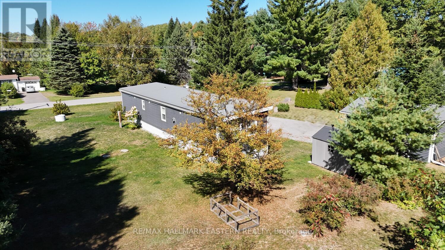 35 Belmont Street, Havelock-Belmont-Methuen (Belmont-Methuen), Ontario  K0L 1Z0 - Photo 11 - X12418865