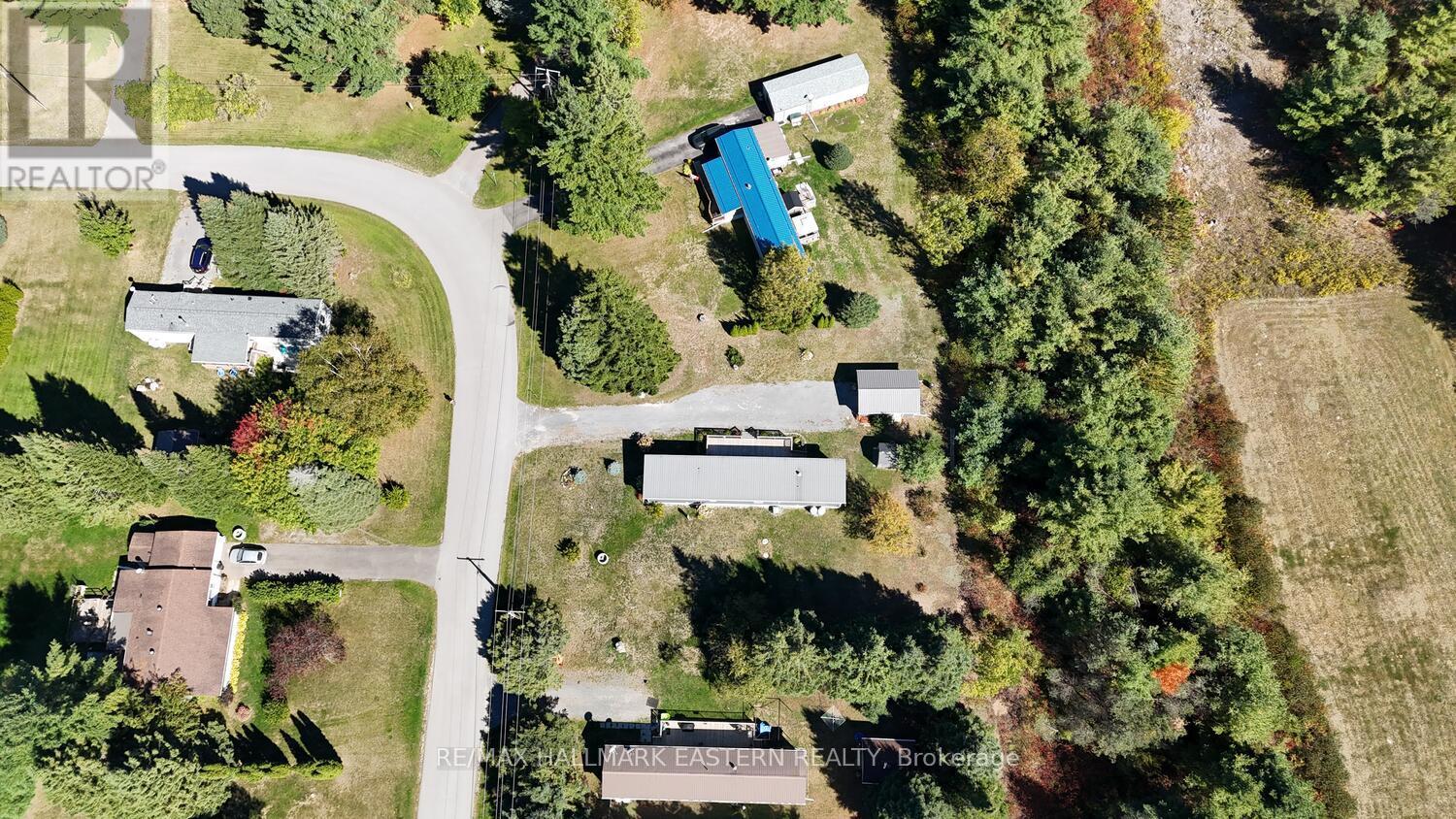 35 Belmont Street, Havelock-Belmont-Methuen (Belmont-Methuen), Ontario  K0L 1Z0 - Photo 5 - X12418865