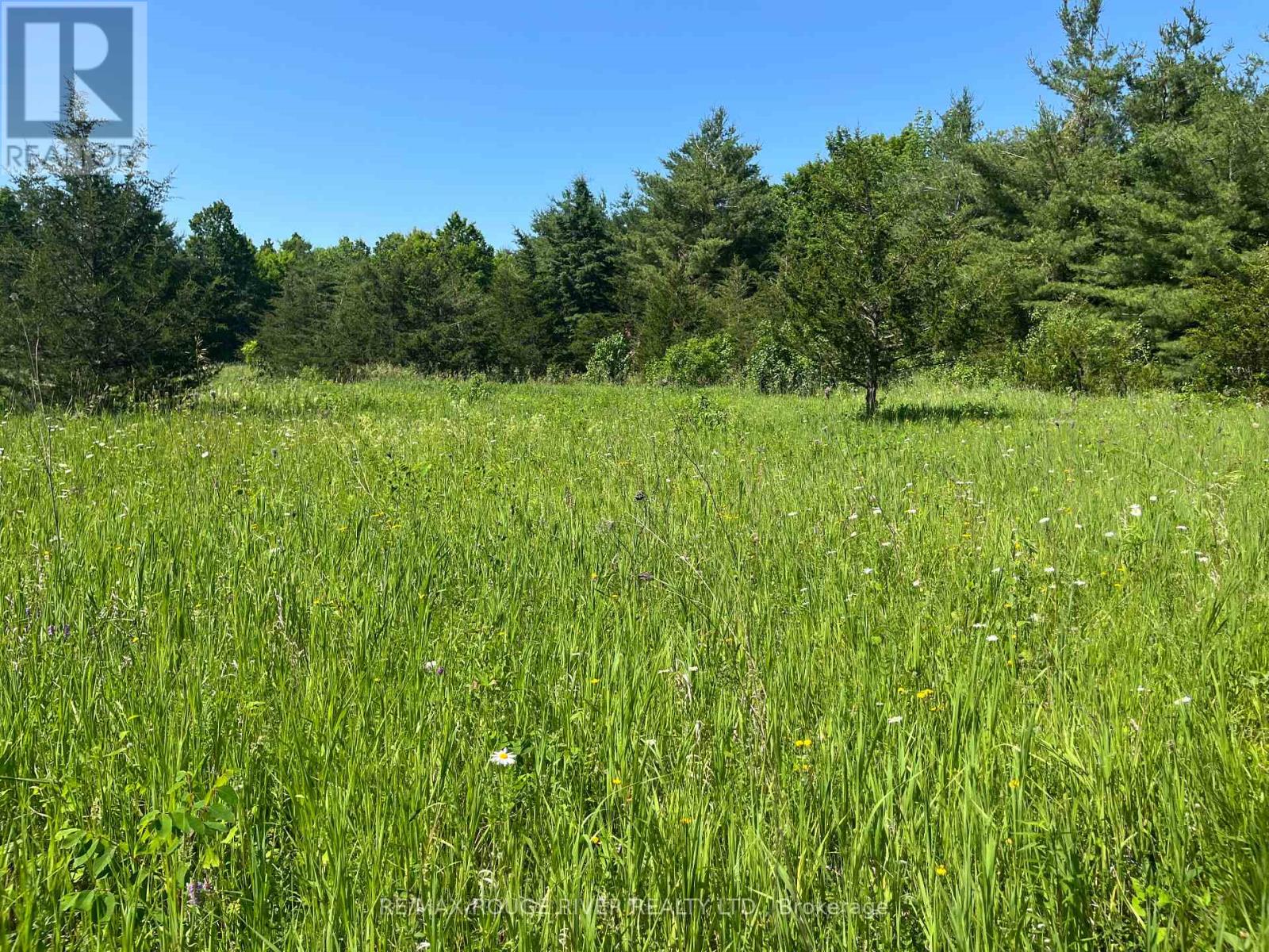 N/a 14th Line East Acres E, Trent Hills, Ontario  K0L 1L0 - Photo 12 - X12419086