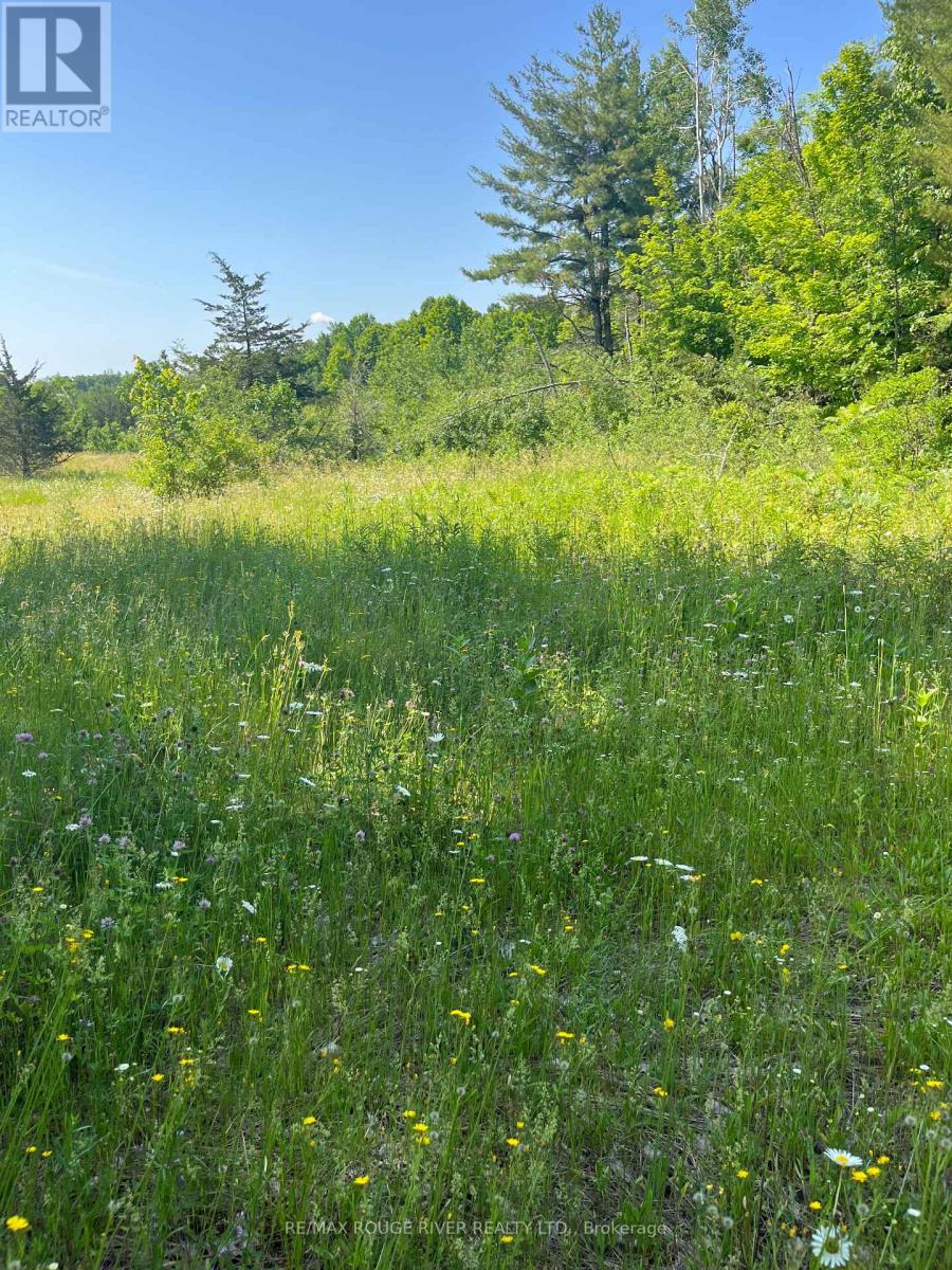 N/a 14th Line East Acres E, Trent Hills, Ontario  K0L 1L0 - Photo 9 - X12419086