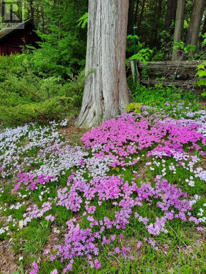 Lot 5 - 4627 Ganaraska Road, Clarington, Ontario  L0A 1E0 - Photo 12 - E12419349