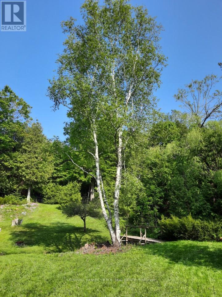 Lot 5 - 4627 Ganaraska Road, Clarington, Ontario  L0A 1E0 - Photo 19 - E12419349