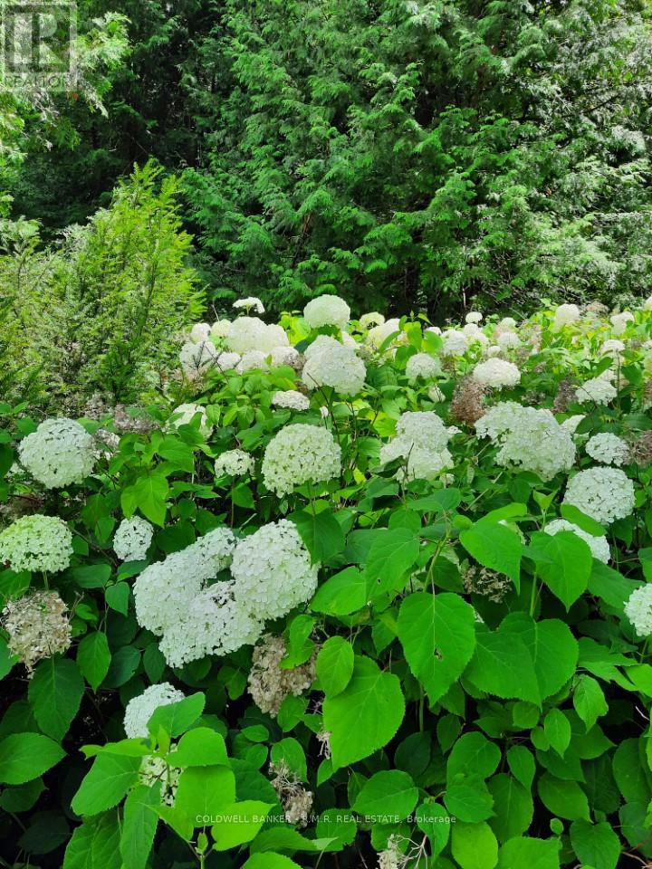 Lot 5 - 4627 Ganaraska Road, Clarington, Ontario  L0A 1E0 - Photo 6 - E12419349