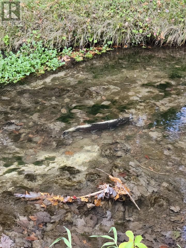 Lot 5 - 4627 Ganaraska Road, Clarington, Ontario  L0A 1E0 - Photo 7 - E12419349