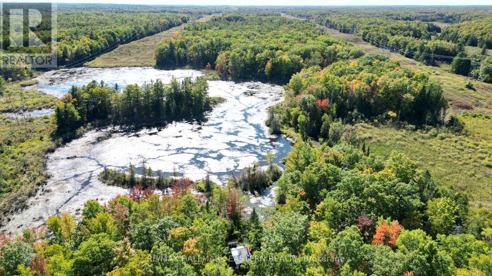 1092 Mid Belmont 7th Line, Havelock-Belmont-Methuen (Belmont-Methuen), Ontario  K0L 1Z0 - Photo 11 - X12421638