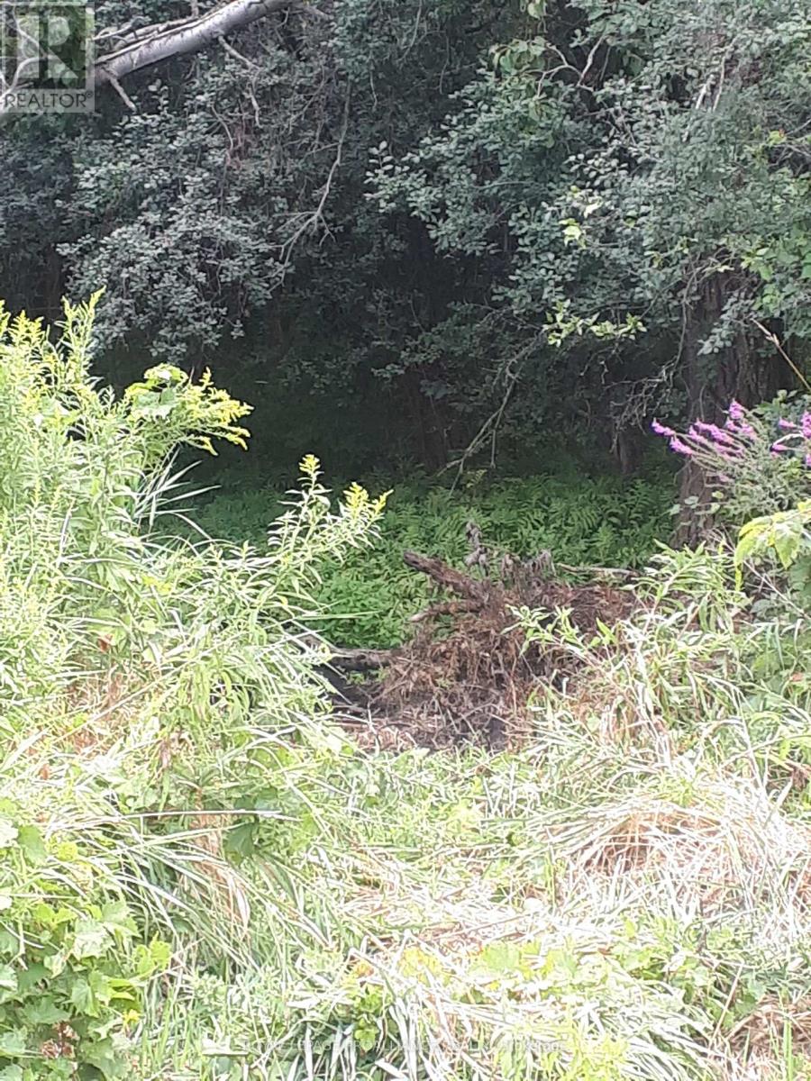 001 Lot 2 Conc 7, Port Hope, Ontario  L0A 1B0 - Photo 1 - X12422167