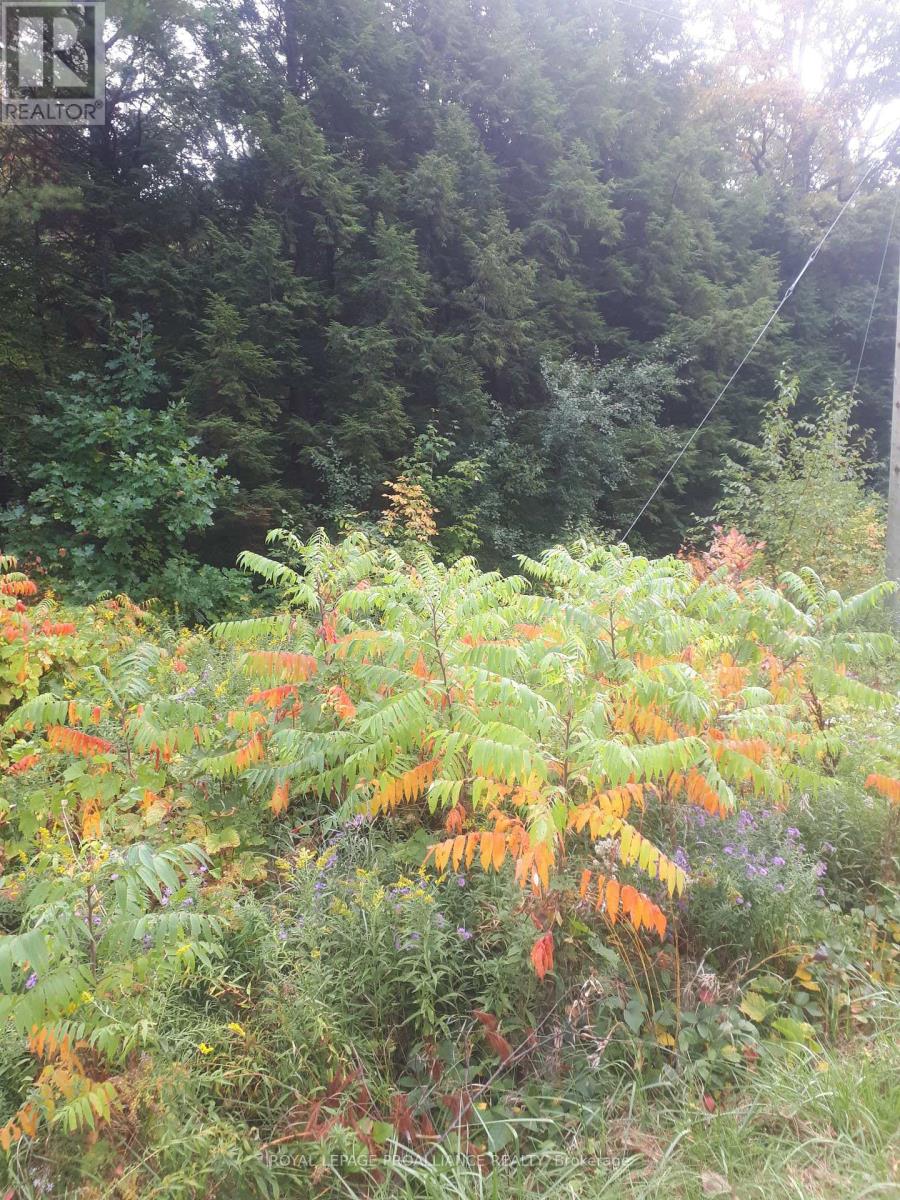 001 Lot 2 Conc 7, Port Hope, Ontario  L0A 1B0 - Photo 5 - X12422167