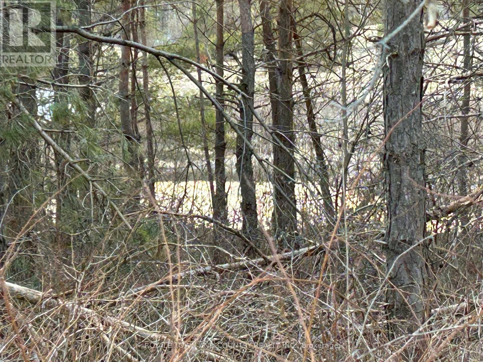 0 Highway 35, Kawartha Lakes (Pontypool), Ontario  L0A 1A0 - Photo 2 - X12423899