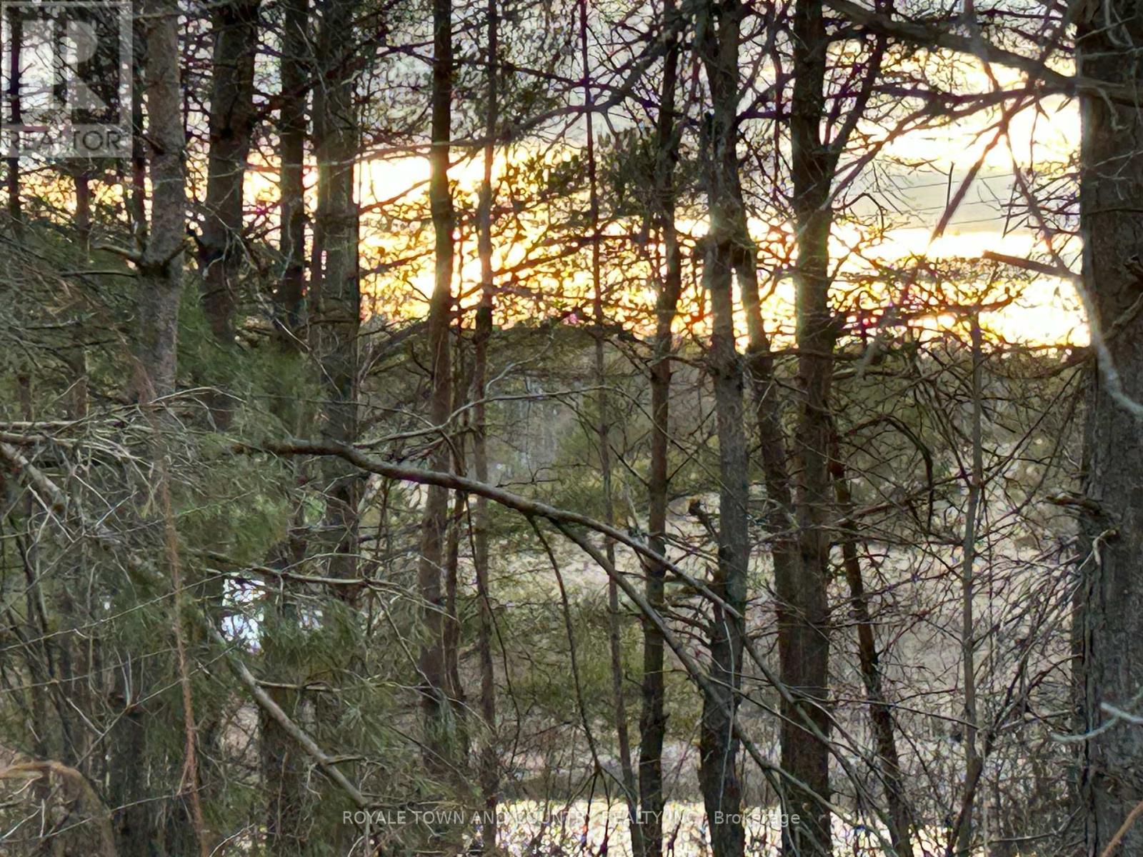 0 Highway 35, Kawartha Lakes (Pontypool), Ontario  L0A 1A0 - Photo 3 - X12423899