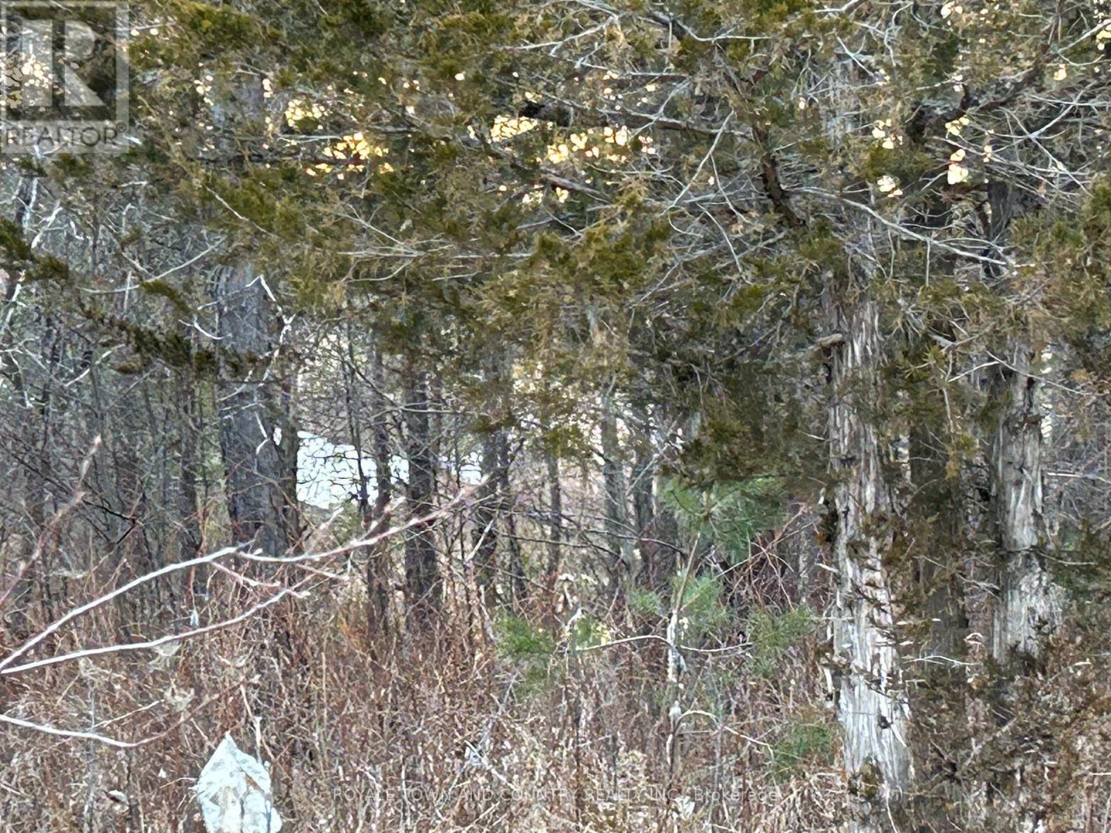 0 Highway 35, Kawartha Lakes (Pontypool), Ontario  L0A 1A0 - Photo 4 - X12423899