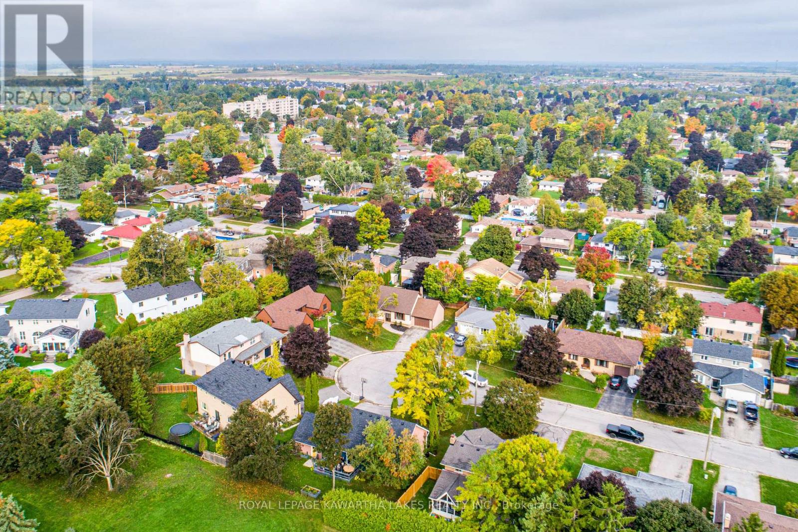 10 Don Court, Kawartha Lakes (Lindsay), Ontario  K9V 5T1 - Photo 41 - X12424844