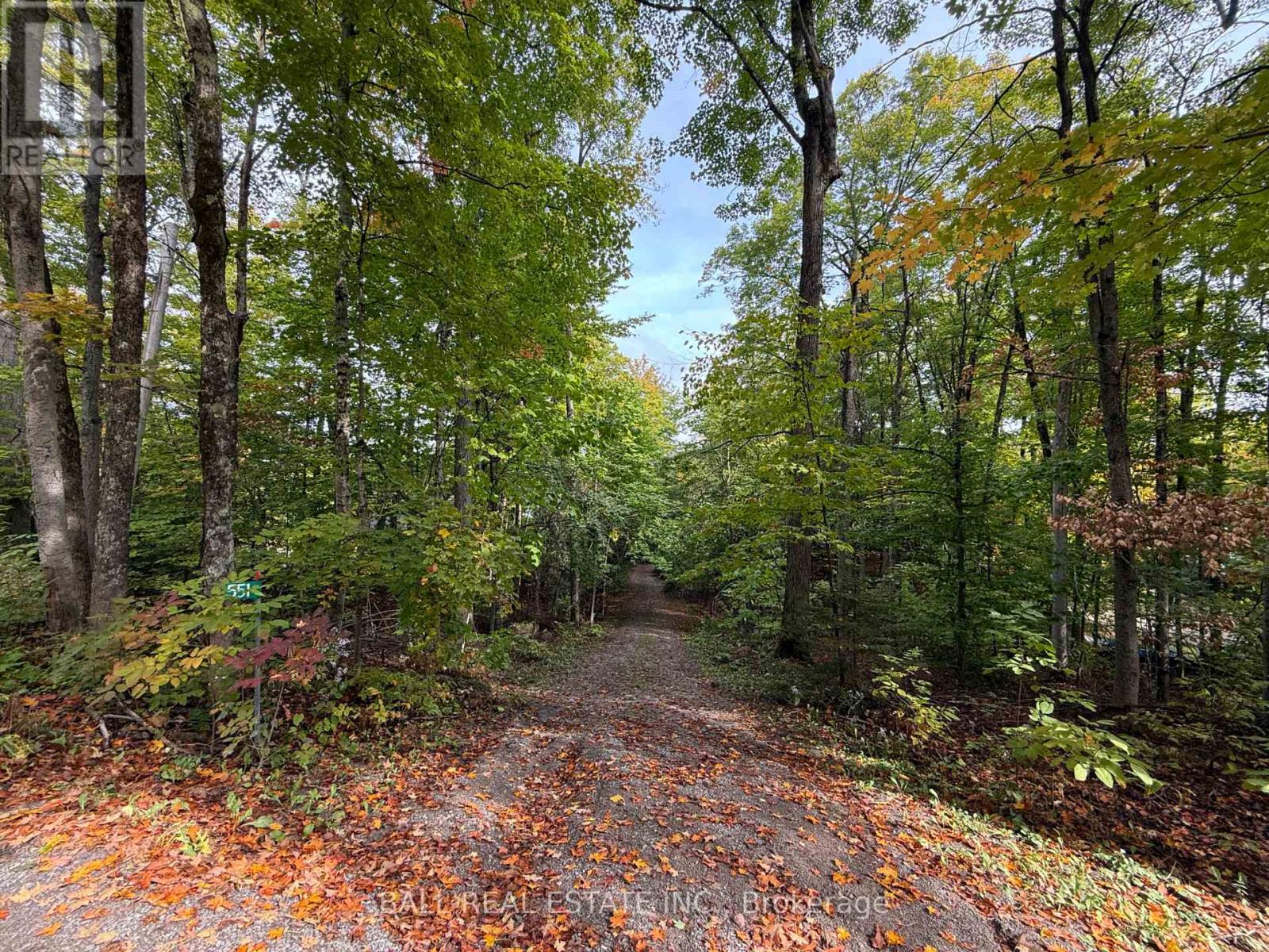 551 Renwick Road, North Kawartha, Ontario  K0L 1A0 - Photo 13 - X12425404
