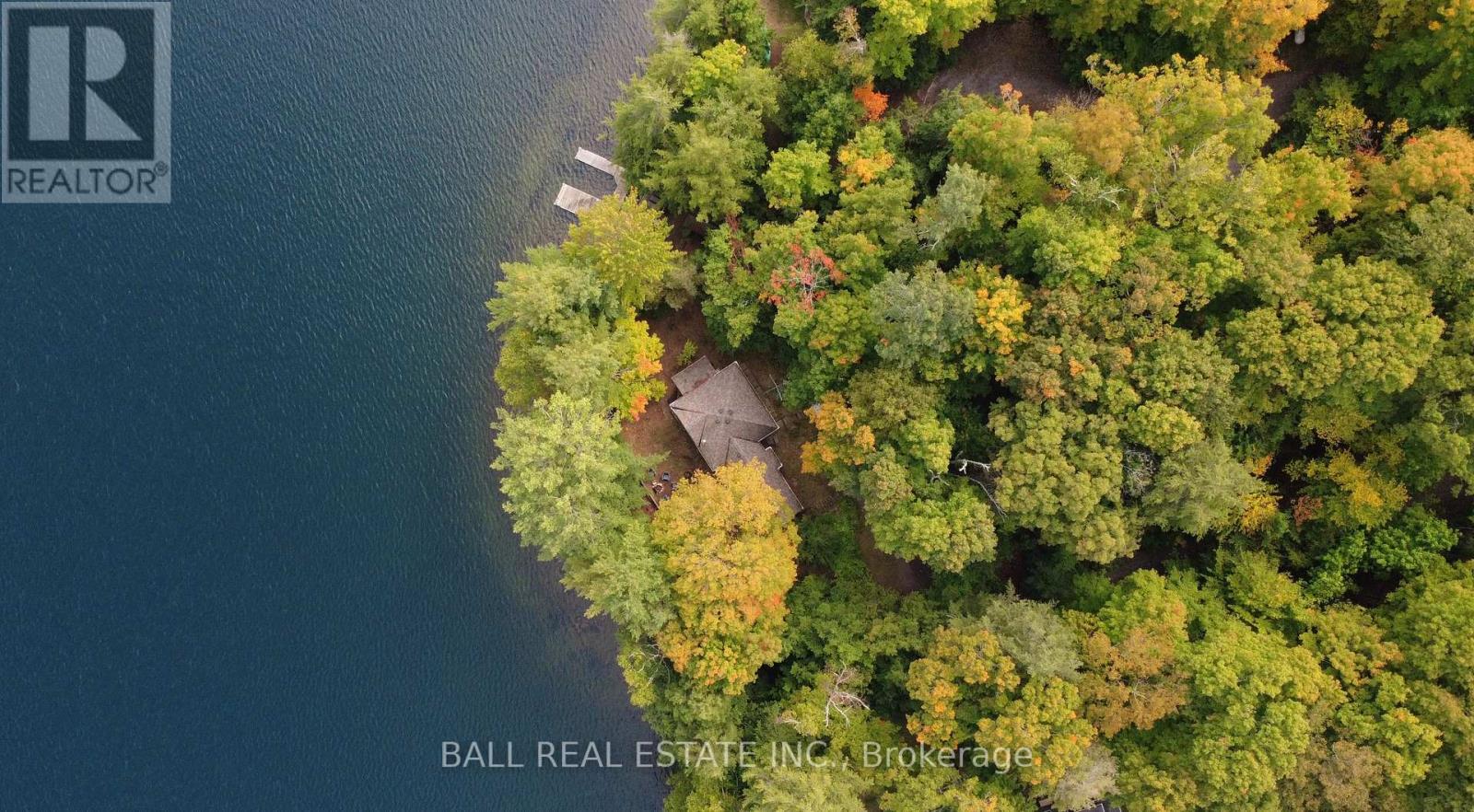 551 Renwick Road, North Kawartha, Ontario  K0L 1A0 - Photo 2 - X12425404