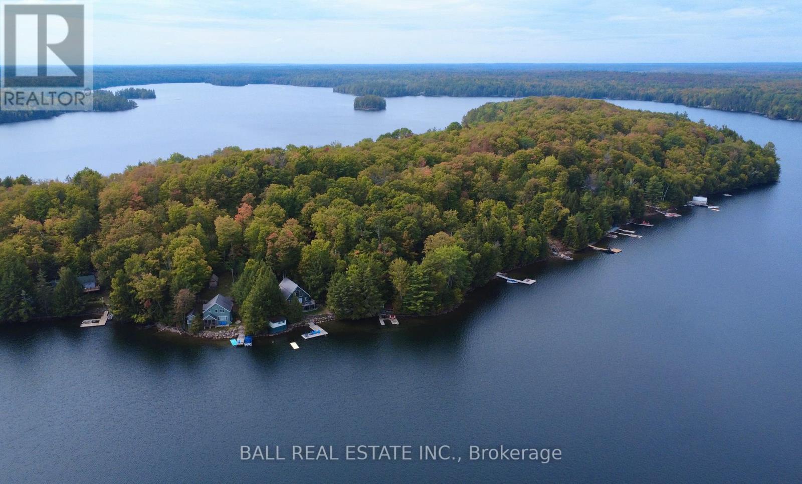 551 Renwick Road, North Kawartha, Ontario  K0L 1A0 - Photo 4 - X12425404