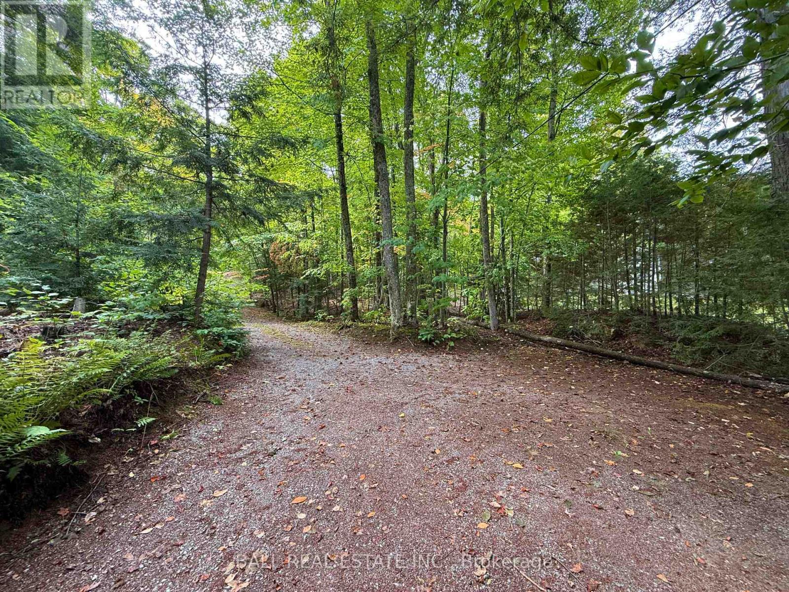 551 Renwick Road, North Kawartha, Ontario  K0L 1A0 - Photo 40 - X12425404