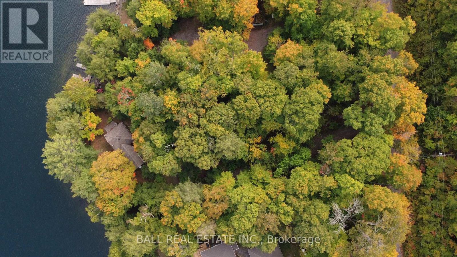 551 Renwick Road, North Kawartha, Ontario  K0L 1A0 - Photo 42 - X12425404