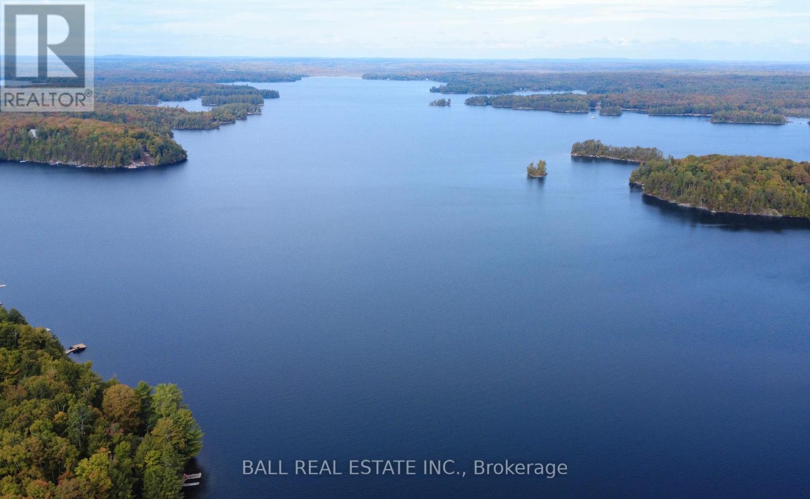 551 Renwick Road, North Kawartha, Ontario  K0L 1A0 - Photo 45 - X12425404
